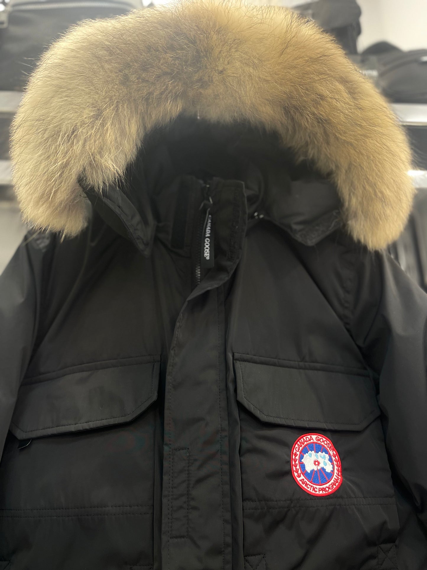 Canada Goose