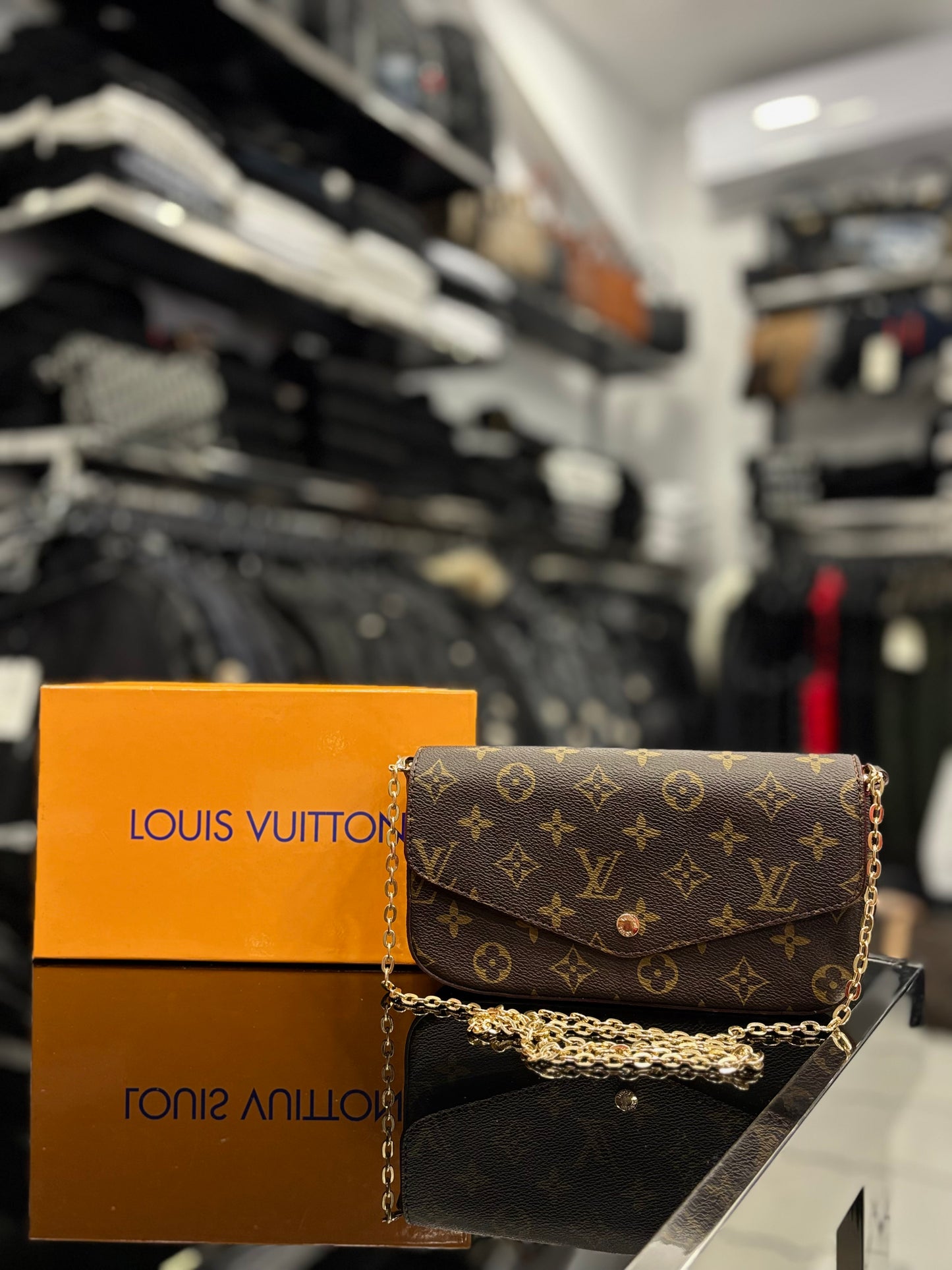 Louis Vuitton Felicie Monogram