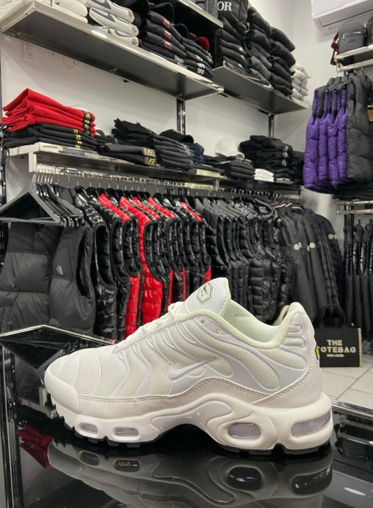 Nike air max plus TN