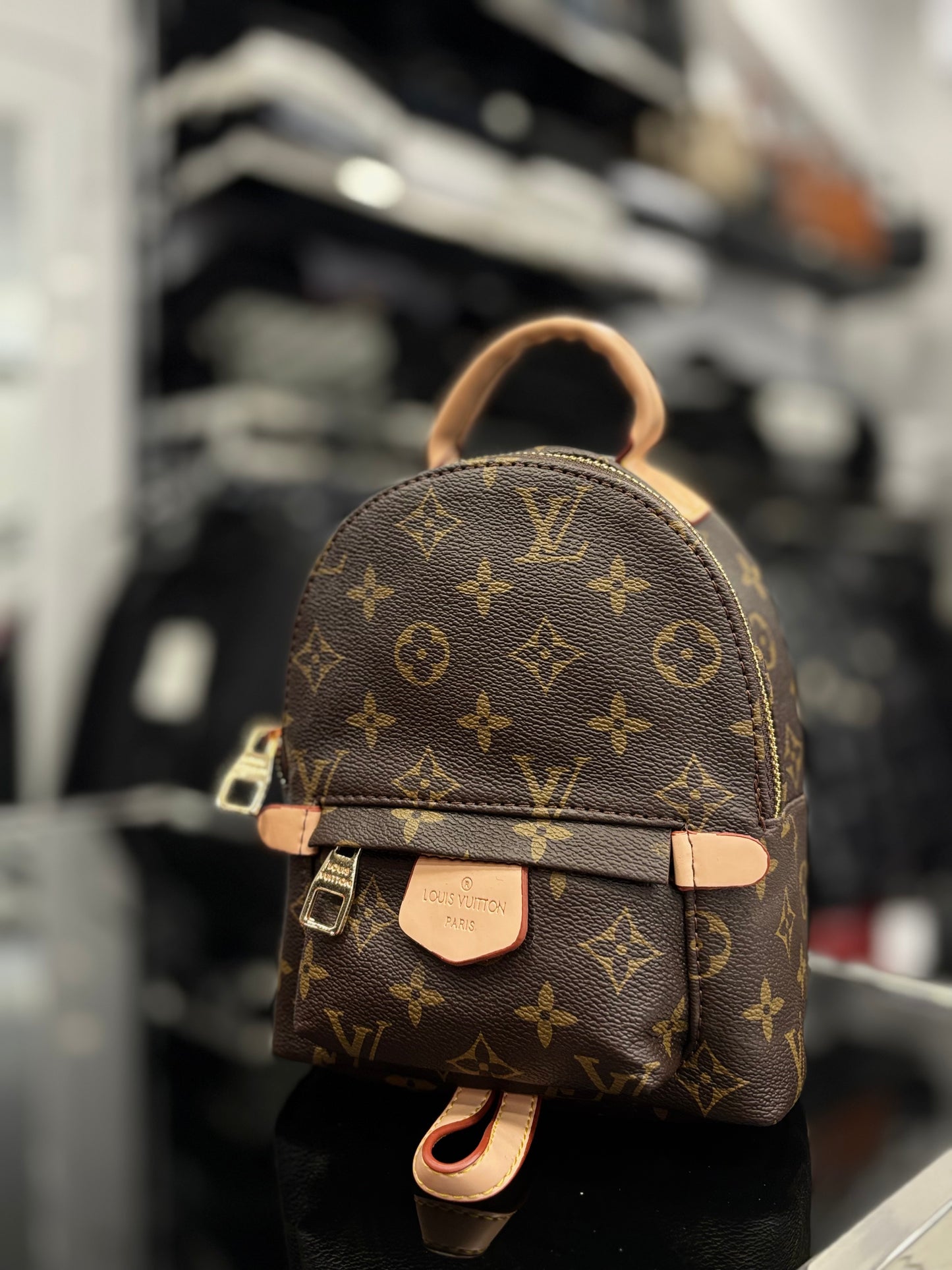 Louis Vuitton Palm Springs mini backpack