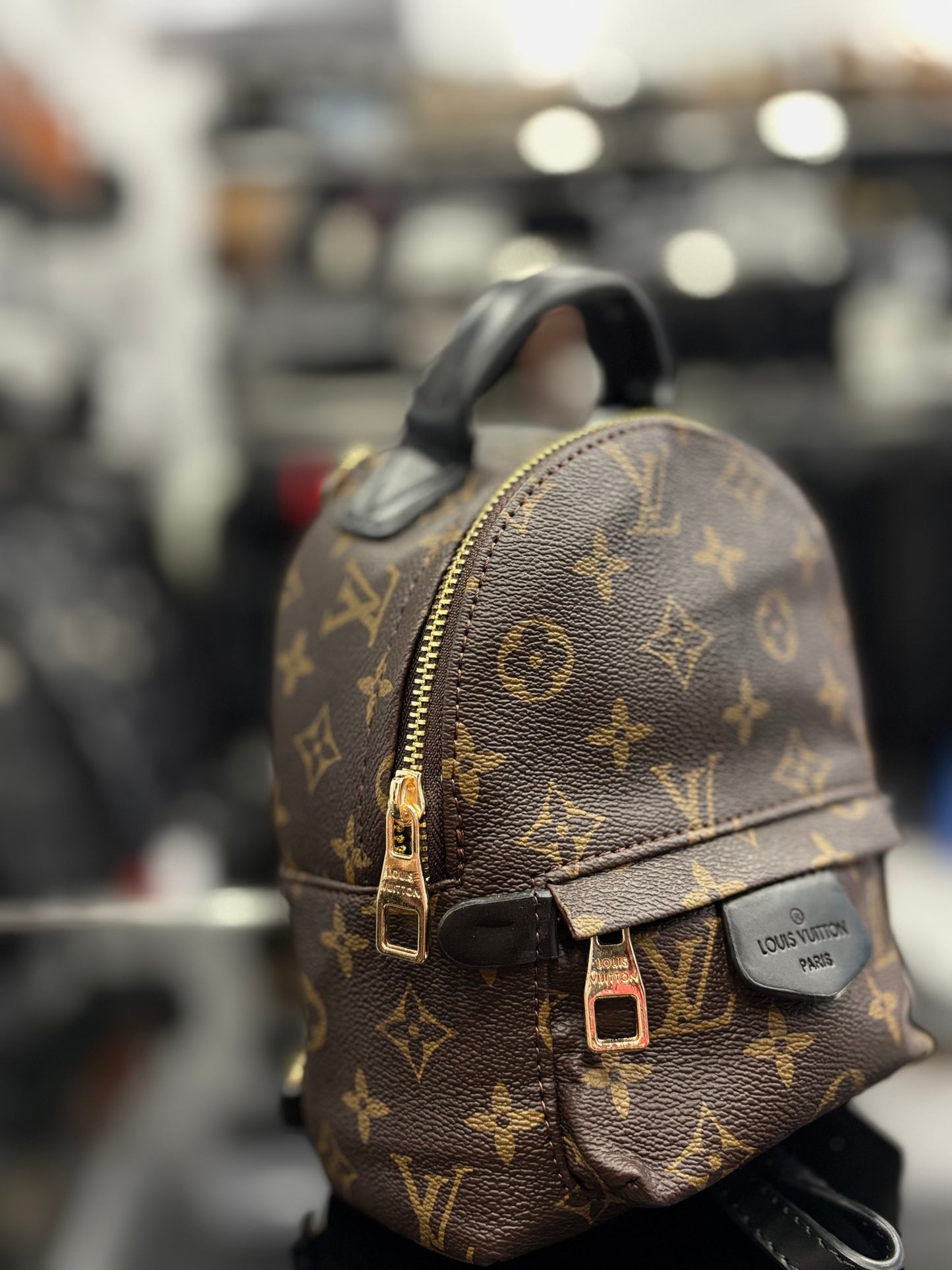 Louis Vuitton Palm Springs mini backpack