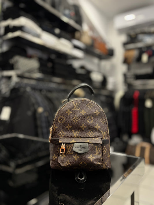 Louis Vuitton Palm Springs mini backpack