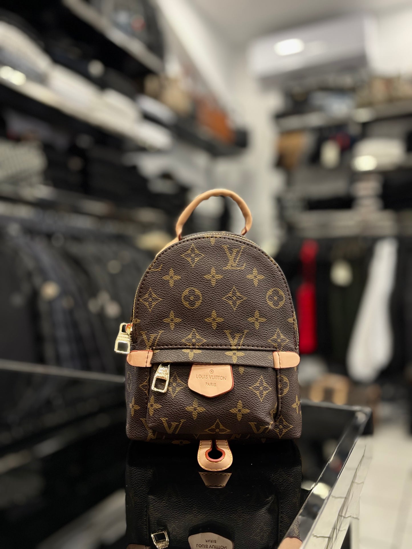 Louis Vuitton Palm Springs mini backpack