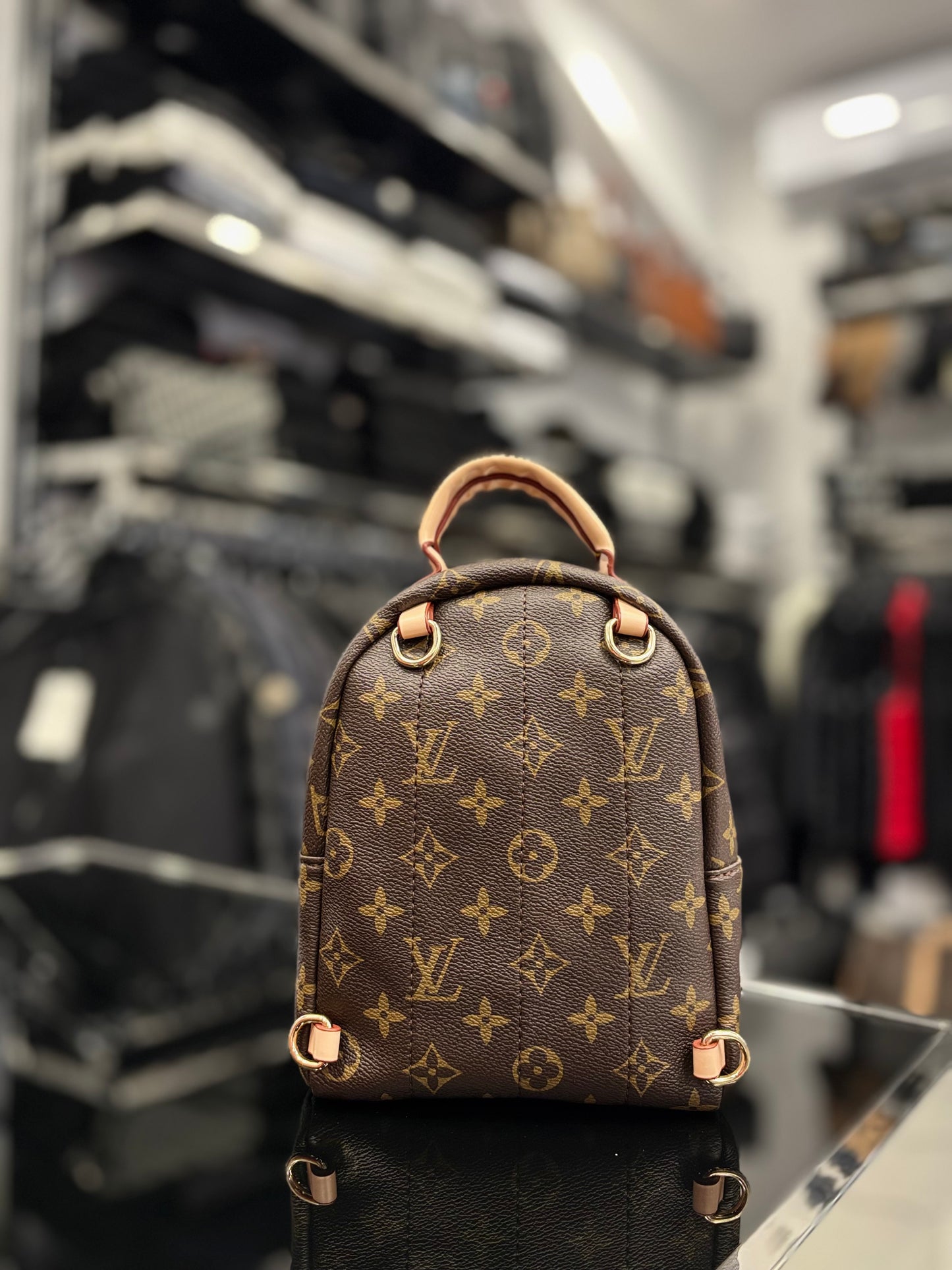 Louis Vuitton Palm Springs mini backpack