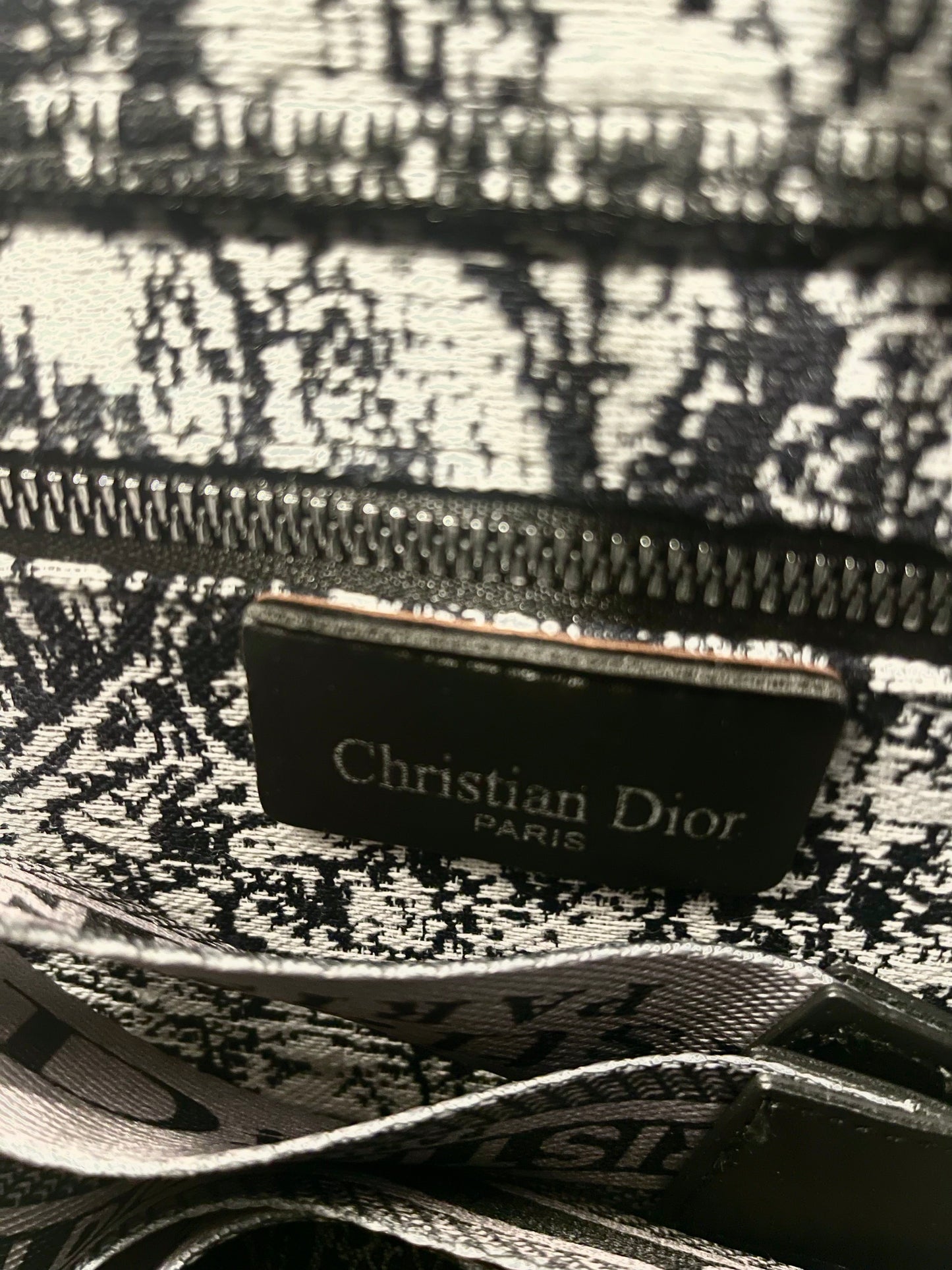 Dior Lady D-Lite Canvas