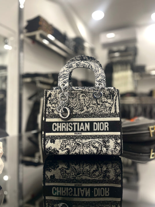 Dior Lady D-Lite Canvas